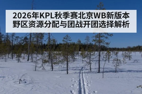 2026年KPL秋季赛北京WB新版本野区资源分配与团战开团选择解析